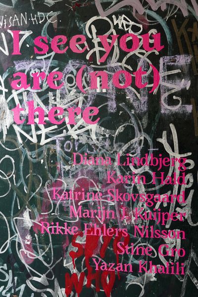 I See You Are (Not) There, c4 project